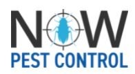 Now Pest Control