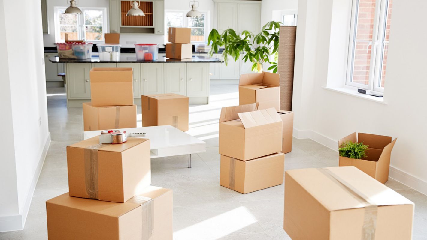 Best Cleaning Services, move in & out cleaning Geelong VIC